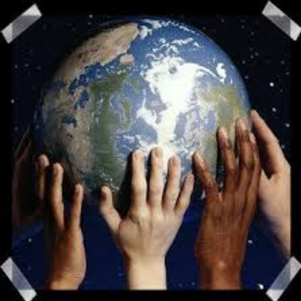 Sustainable Fashion NWT, NWOT, EUC, & GUC - Picture 4 of 5